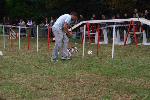 foire-haricots 2011-09-17et18